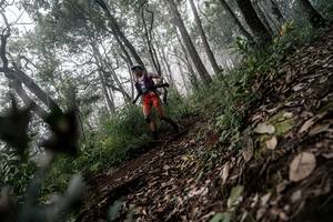 BIB: 
                            <button type="button" onclick="openModal(22792093)" class="btn btn-primary btn-sm float-right btn-popup" data-toggle="modal" data-target=".modal-high-quality">
                        <i class="fas fa-shopping-cart"></i> Add to Cart
                    </button>
                                            <button type="button" onclick="isThisMe(22792093, true)" class="btn btn-success btn-sm float-right btn-popup btn-isme hidden" data-toggle="tooltip" data-placement="bottom" title="นี่คือรูปของคุณใช่ไหม คลิกที่นี่เพื่อเอาเข้าอัลบั้ม">
                        <i class="fas fa-plus"></i> Add to album
                    </button>
                    <button type="button" onclick="isThisMe(22792093, false)" class="btn btn-warning btn-sm float-right btn-popup btn-isnotme hidden">
                        <i class="fas fa-ban"></i> Remove from album
                    </button>